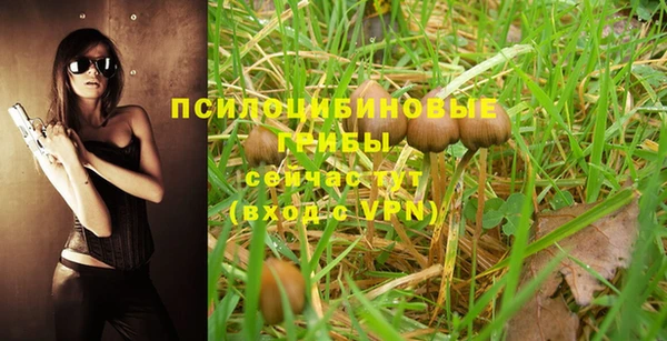 jwh Нефтегорск