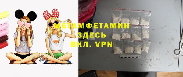 прущие грибы Струнино