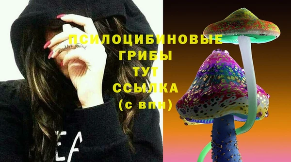 apvp Нея
