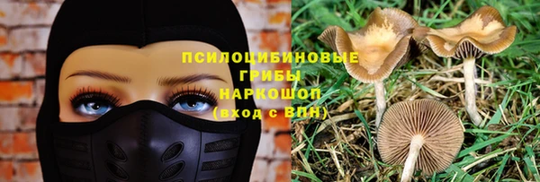 хмурый Нефтекумск