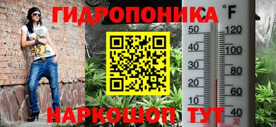 стаф Будённовск