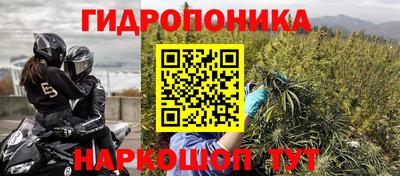 PSILOCYBIN Краснознаменск