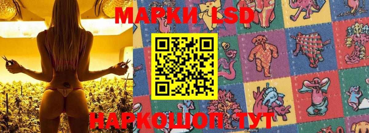 Наркотические марки 1,8мг  Наркотические марки 1,8мг  Саратов  Вход с VPN 