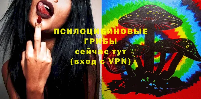 Галлюциногенные грибы Magic Shrooms  Саратов 