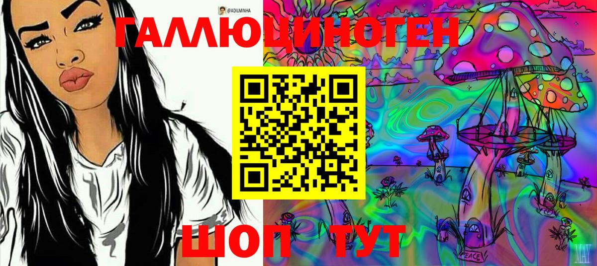 Псилоцибиновые грибы Psilocybine cubensis  Саратов 