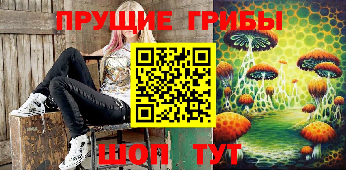 купить закладку  Галлюциногенные грибы мицелий  Вход с VPN  Псилоцибиновые грибы Magic Shrooms  Саратов 